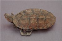 藏品(金龜)的圖片